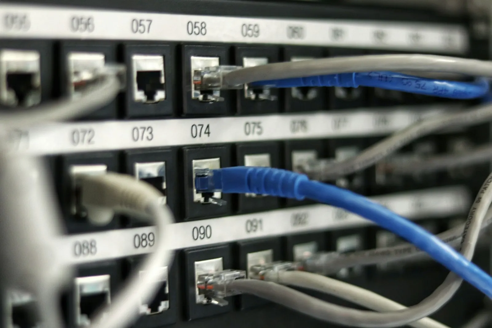Illustrationsfoto: Netzwerkkabel in einem Patchpanel